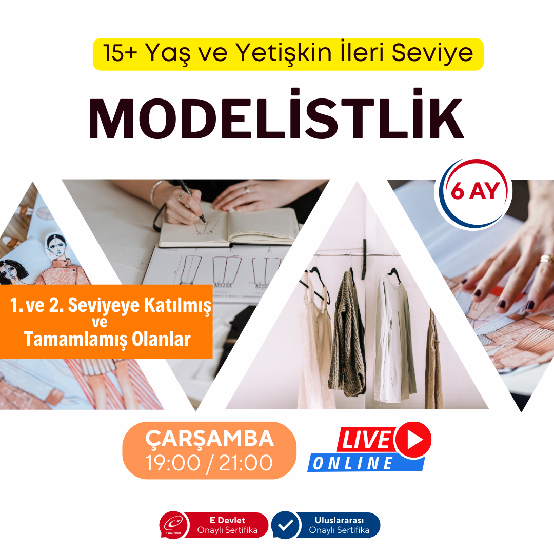 Modellieren (ab 15 Jahren und Erwachsene) (Fortgeschrittenes Niveau)