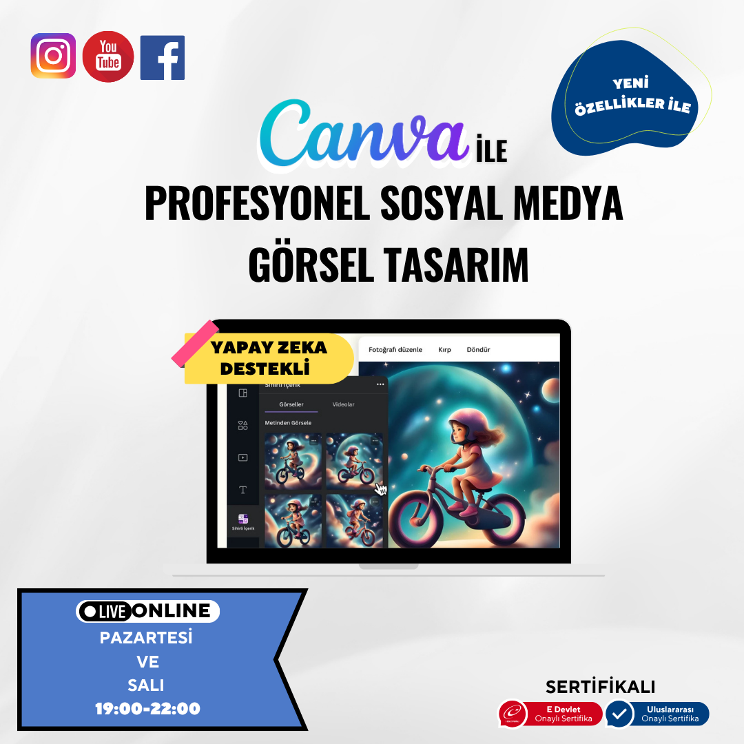 Professionelles visuelles Social-Media-Design (Canva)