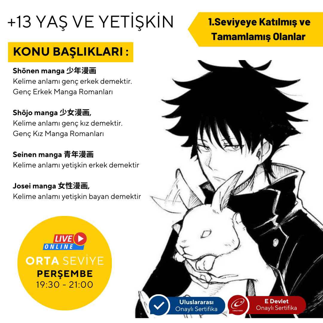 Storyboard für japanische Comics (MANGA), um Mangaka zu werden (Mittelstufe)