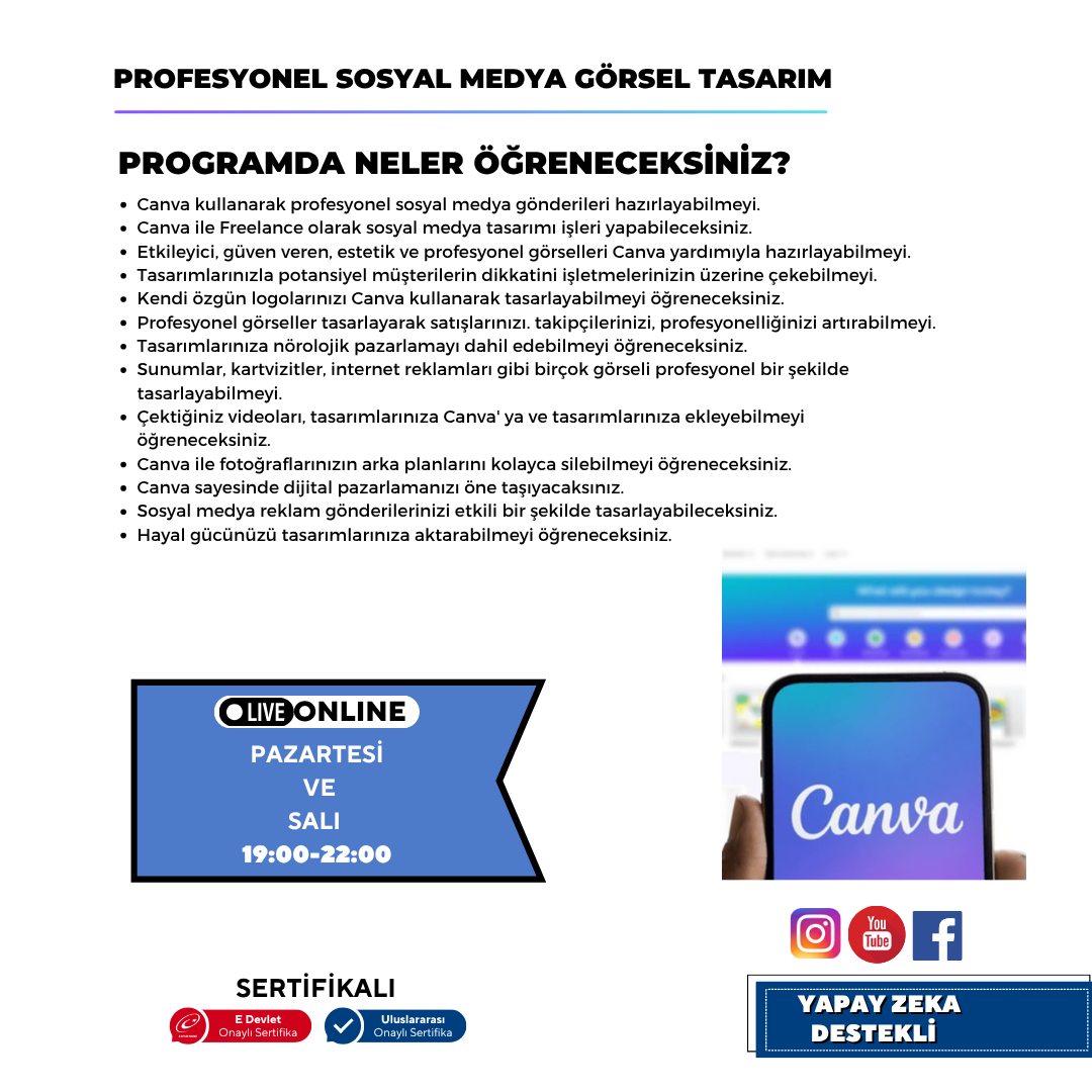 Professionelles visuelles Social-Media-Design (Canva)