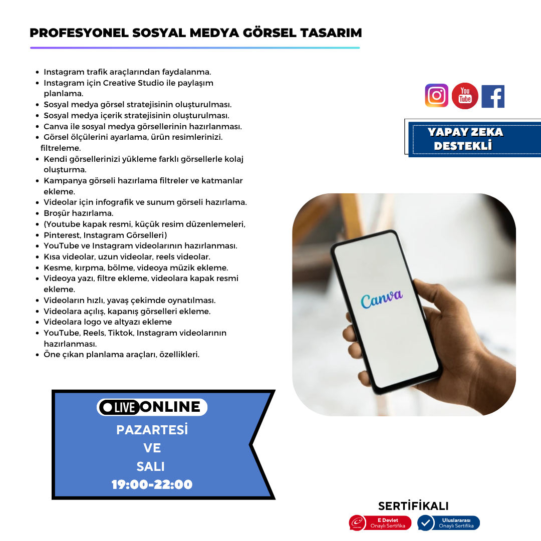 Professionelles visuelles Social-Media-Design (Canva)