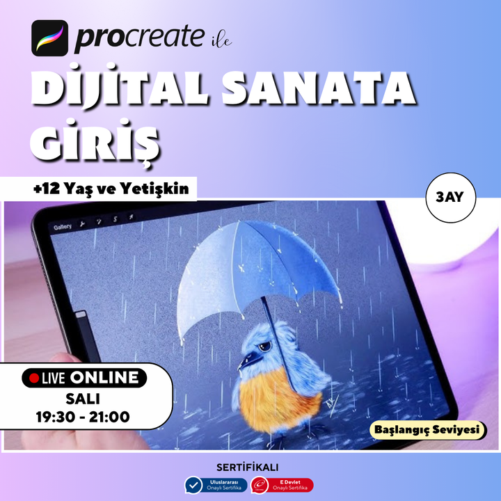 Procreate ile Dijital Sanata Giriş (+12 Yaş ve Yetişkin)
