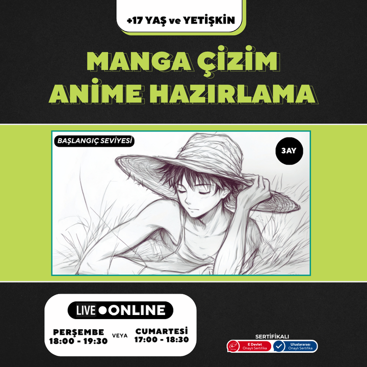 Manga y Anime (17 años y adultos)