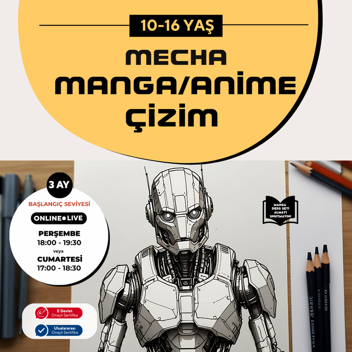 Preparación para el dibujo de manga mecha (10-16 años)