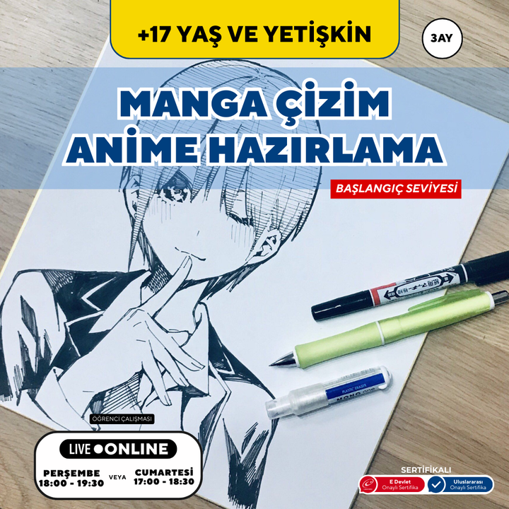 Manga e Anime (dai 17 anni in su)