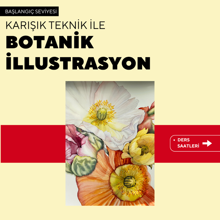 Botanical Illustration - Face to Face