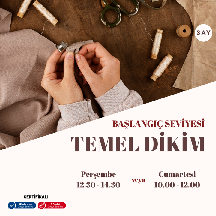 Grundlegendes Pflanzen – von Angesicht zu Angesicht