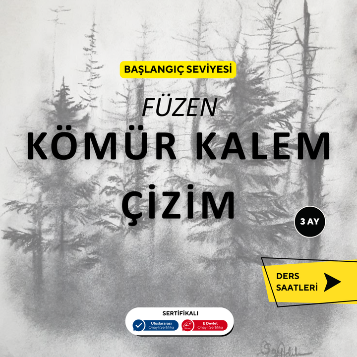 Charcoal Pencil Drawing ( Face to Face )