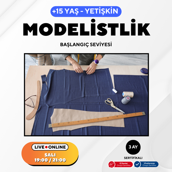 Modellieren (ab 15 Jahren und Erwachsene) – Anfängerniveau