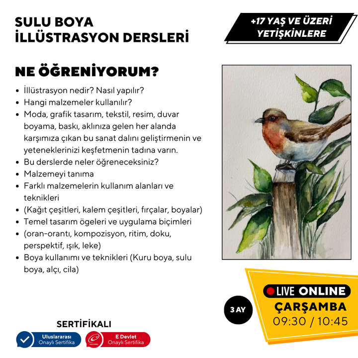 Sulu Boya İllustrasyon (Yetişkin)