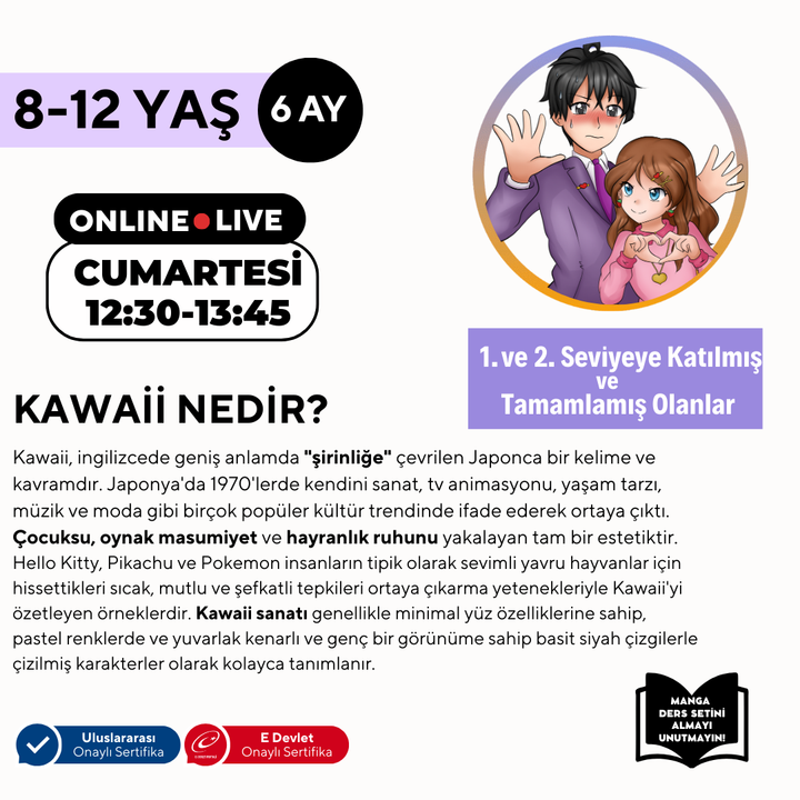 Kawaii Art Çizim İleri Seviye (8-12 Yaş)