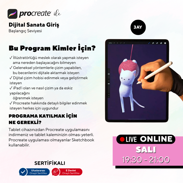 Procreate ile Dijital Sanata Giriş (+12 Yaş ve Yetişkin)