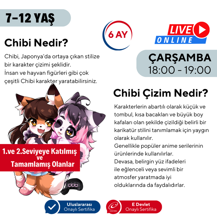Chibi & Furry Çizim (7-12 Yaş)(İleri Seviye)