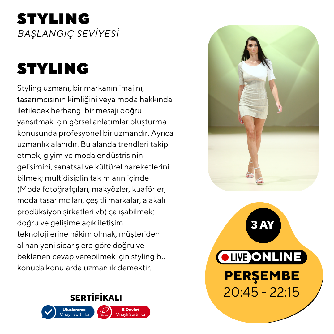 Styling - Anfängerniveau
