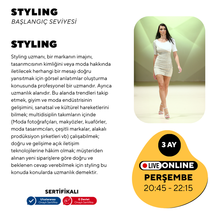 Styling - Anfängerniveau
