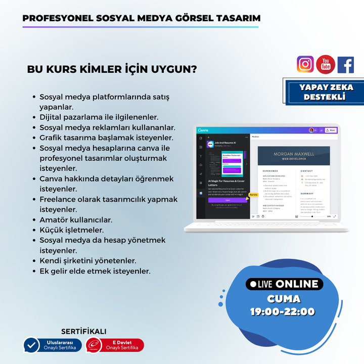 Professional Social Media Visual Design (Canva)