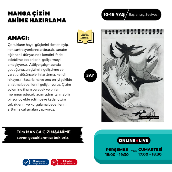Manga-Zeichnen und Anime-Vorbereitung (10–16 Jahre)