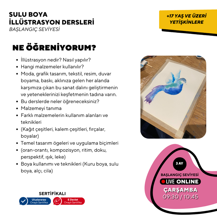 Sulu Boya İllustrasyon (Yetişkin)