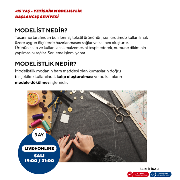Modellieren (ab 15 Jahren und Erwachsene) – Anfängerniveau