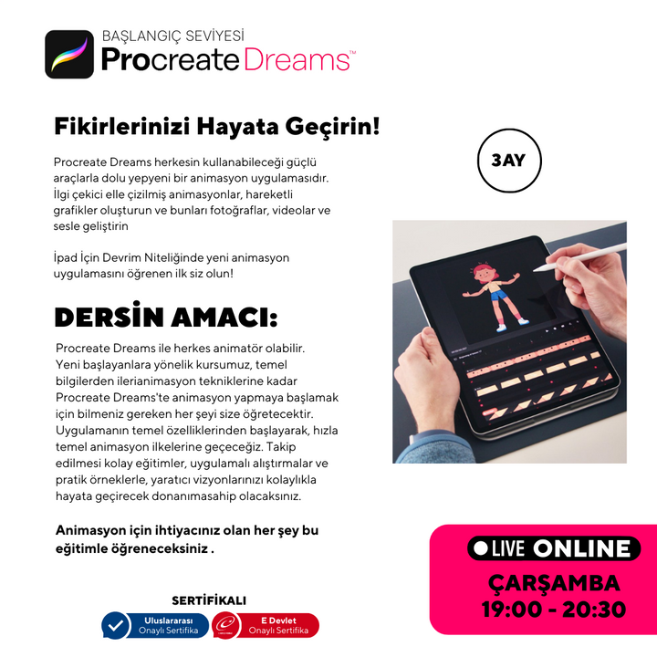 Procreate Dreams  - Başlangıç Seviyesi - Online