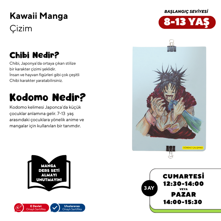 Kawaii Manga Drawing (8-13 Years Old) - Face to Face