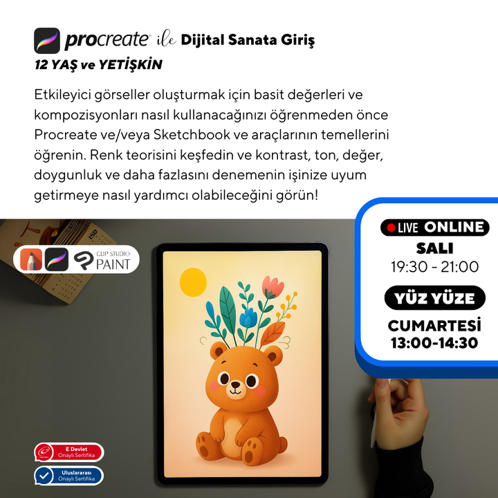 Introducción al Arte Digital con Procreate (+12 Años y Adultos)