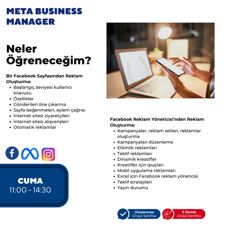 Meta Business Manager (Panel Management) - Face to Face