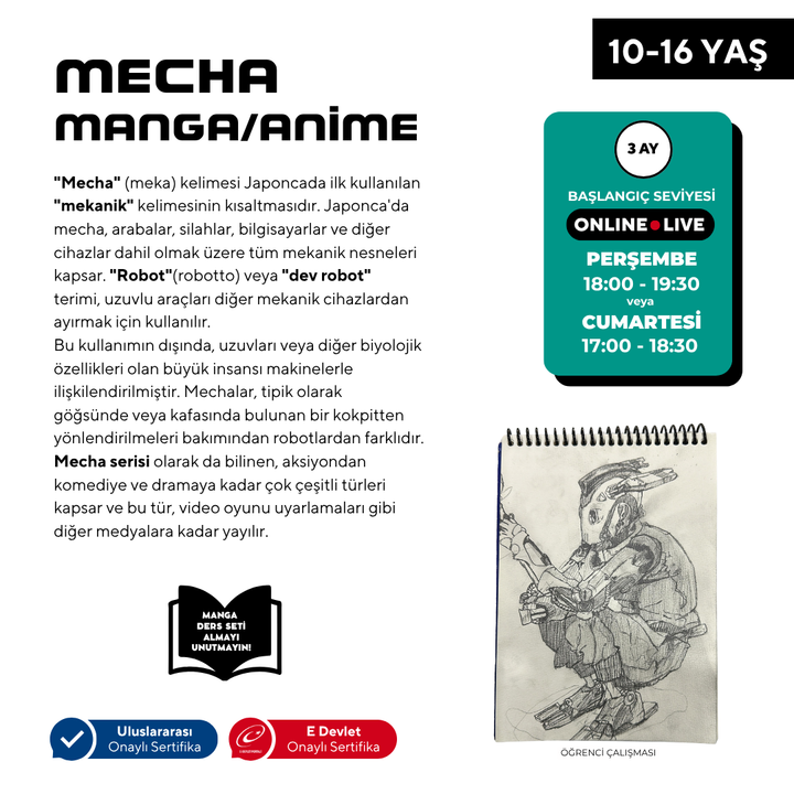 Preparación para el dibujo de manga mecha (10-16 años)
