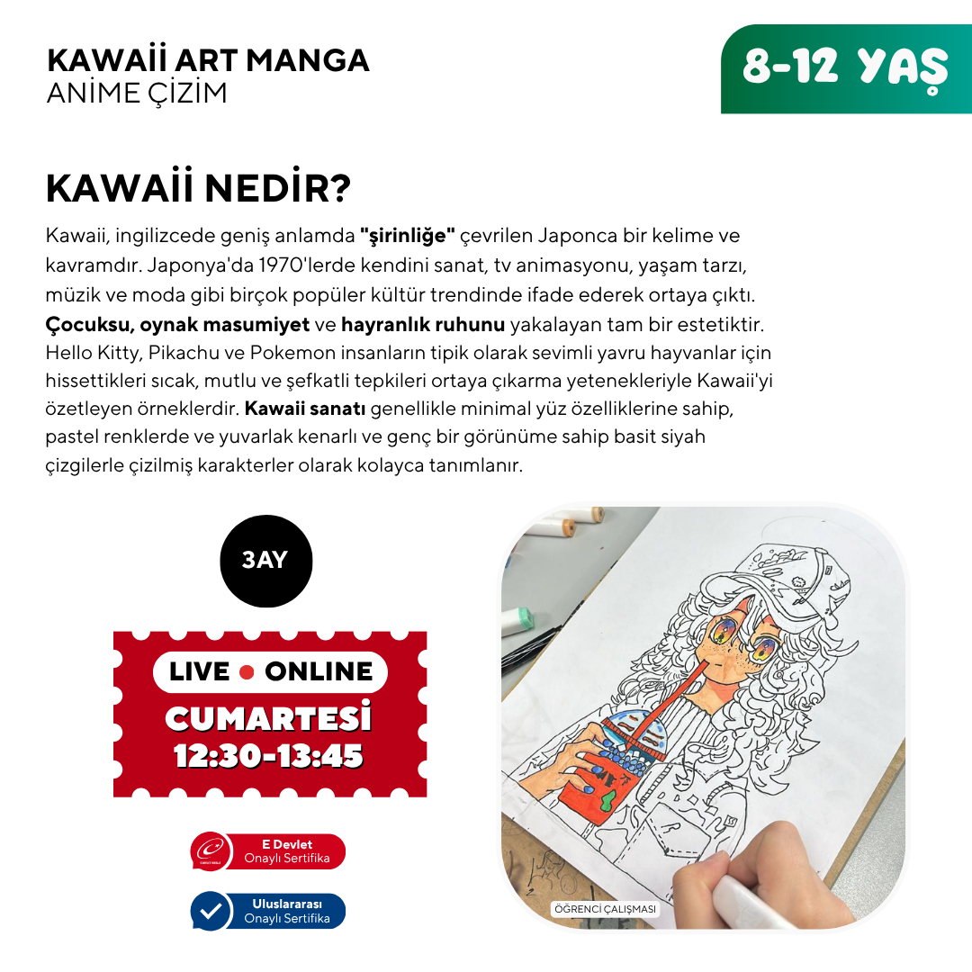 Disegno artistico kawaii (8-12 anni)