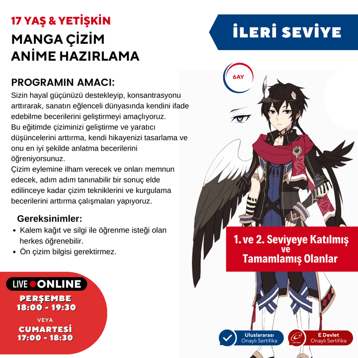 Manga Çizim ve Anime Hazırlama  (İleri Seviye)(17 Yaş ve Yetişkin)