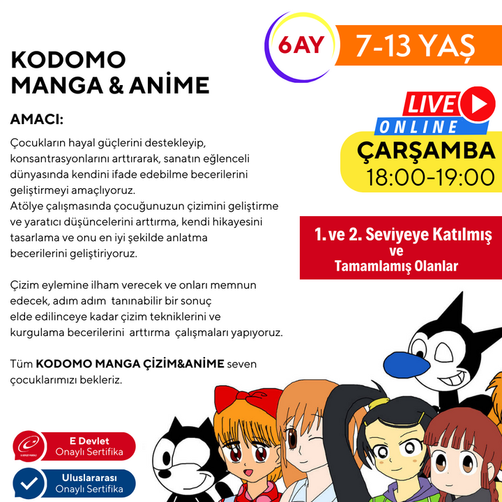 Kodomo Manga & Anime Çizimi (7-13 Yaş) - İleri Seviye