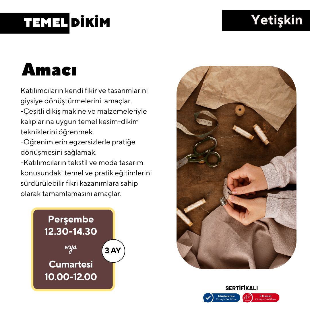 Grundlegendes Pflanzen – von Angesicht zu Angesicht