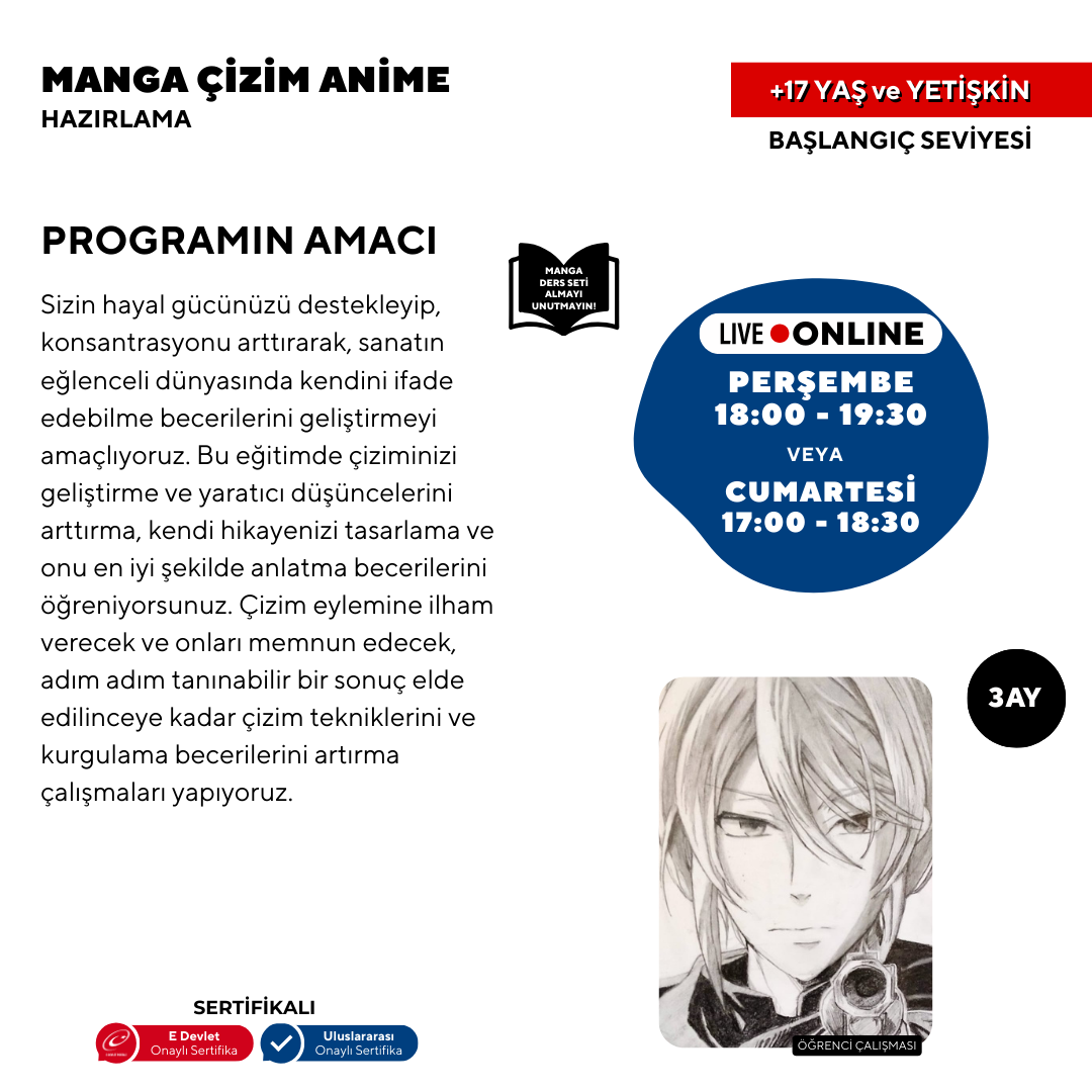 Manga e Anime (dai 17 anni in su)