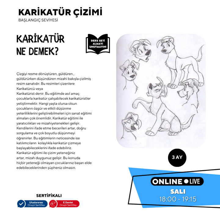 Karikatür Çizimi (9-15 Yaş)