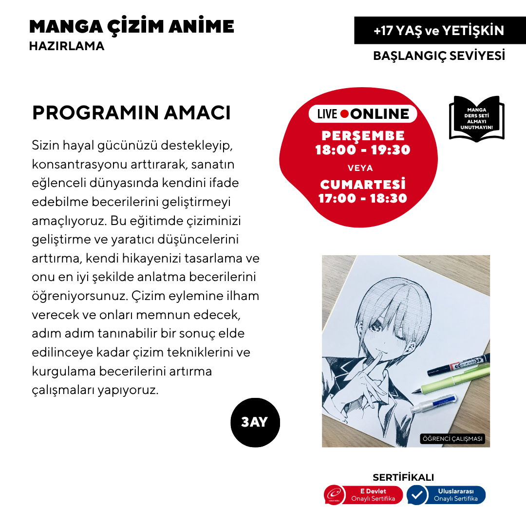 Manga y Anime (17 años y adultos)