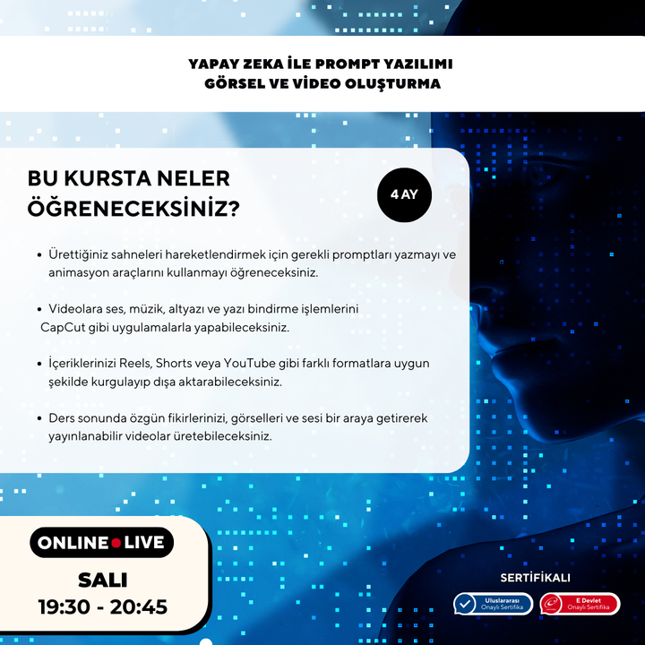Yapay Zeka ile Prompt Yazılımı ( Görsel ve Video Oluşturma ) - Online