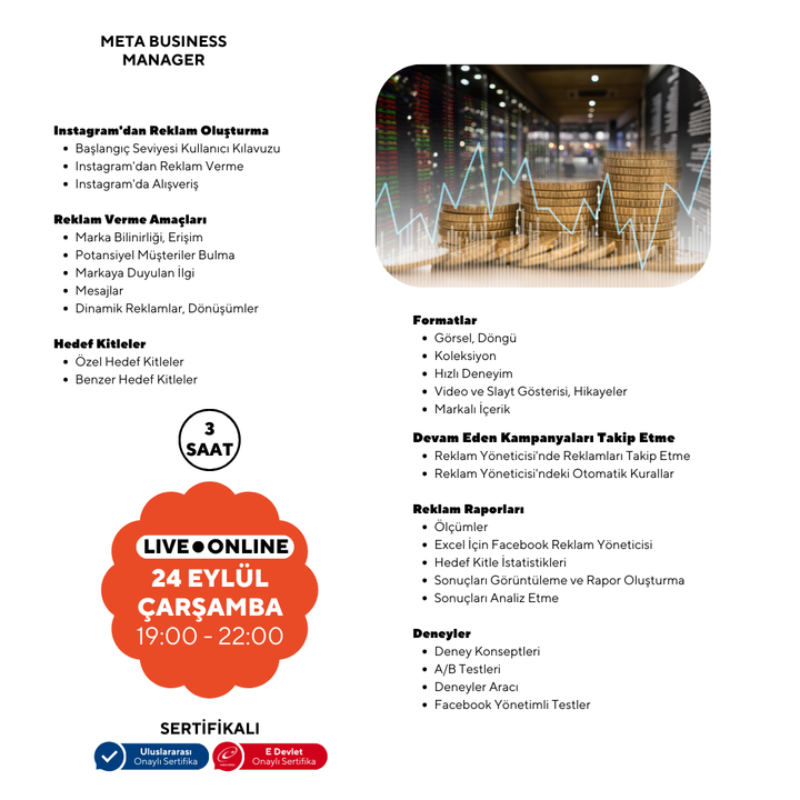 Meta Business Manager (Panel Yönetimi)