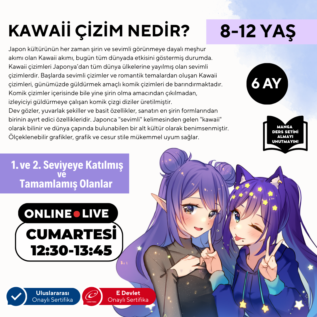Kawaii Art Çizim İleri Seviye (8-12 Yaş)