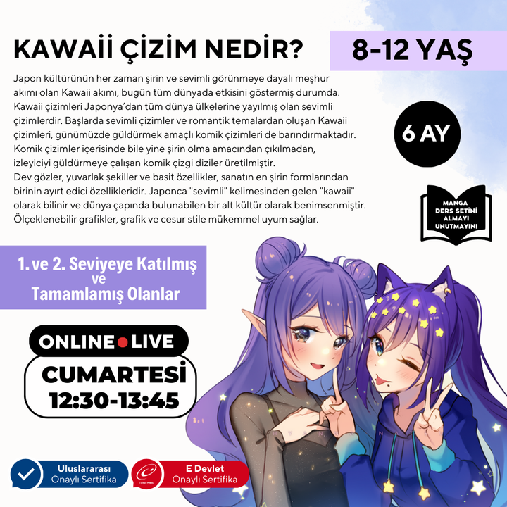 Kawaii Art Çizim İleri Seviye (8-12 Yaş)