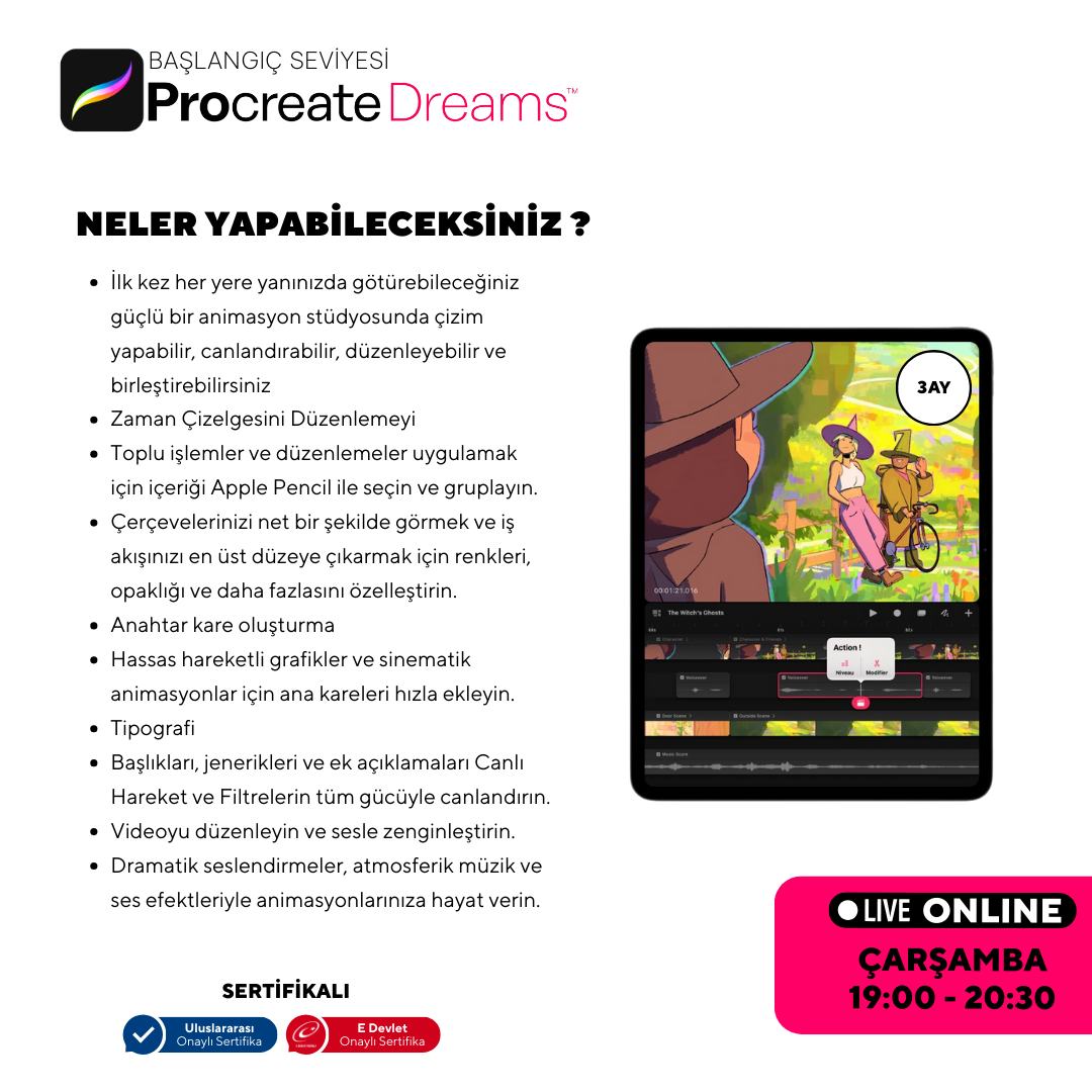 Procreate Dreams  - Başlangıç Seviyesi - Online