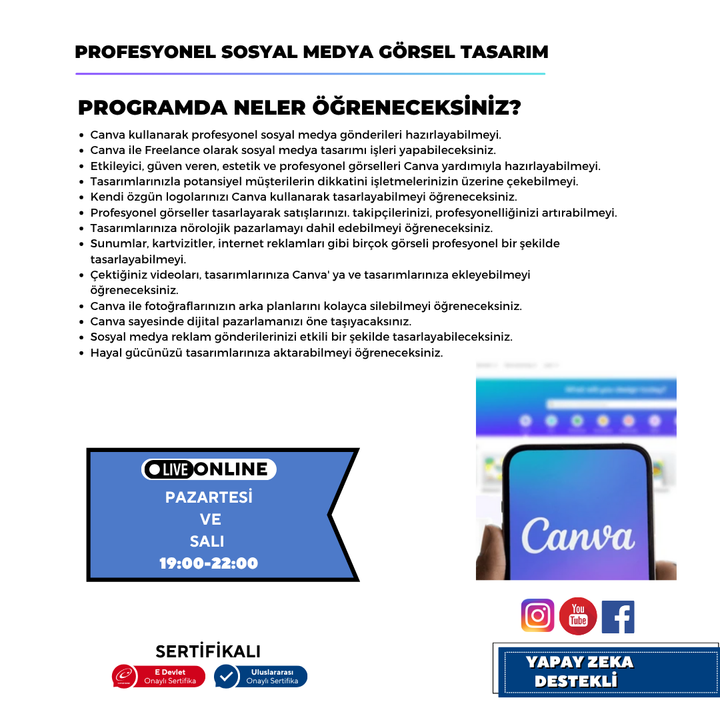 Professionelles visuelles Social-Media-Design (Canva)
