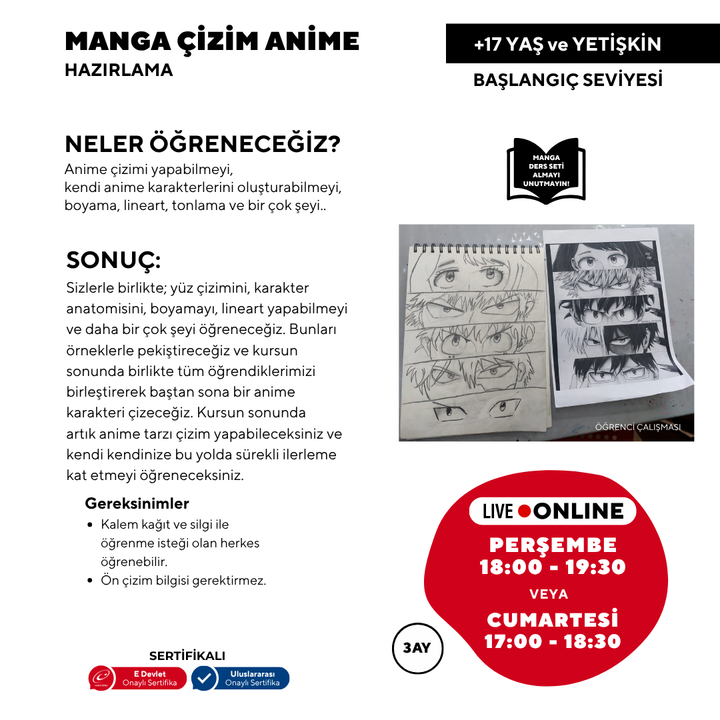 Manga y Anime (17 años y adultos)
