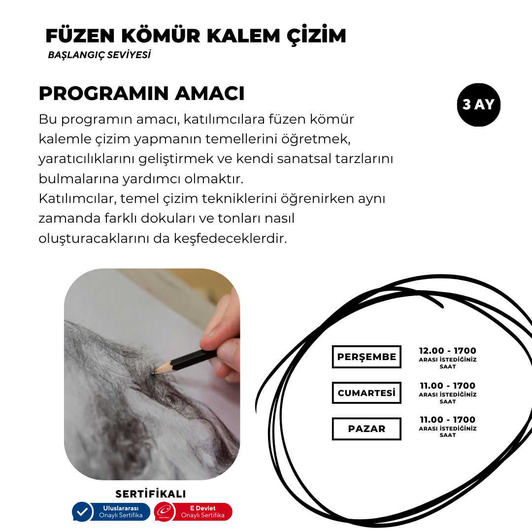 Charcoal Pencil Drawing ( Face to Face )