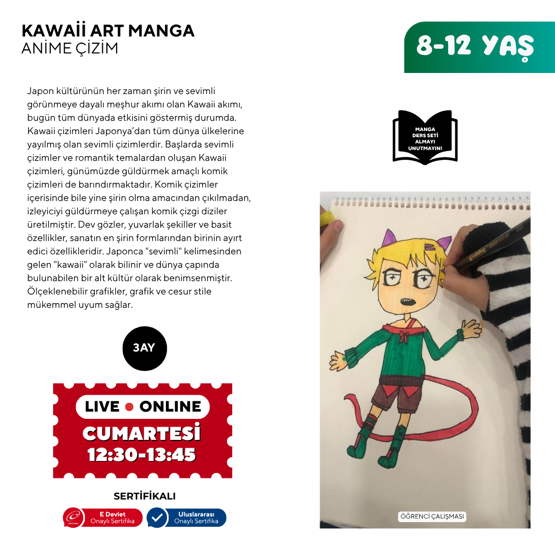Disegno artistico kawaii (8-12 anni)