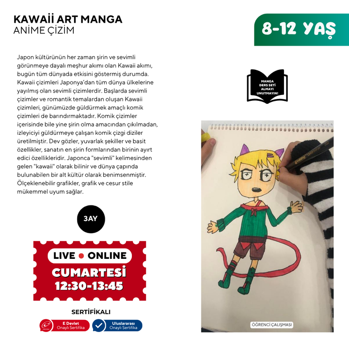 Disegno artistico kawaii (8-12 anni)