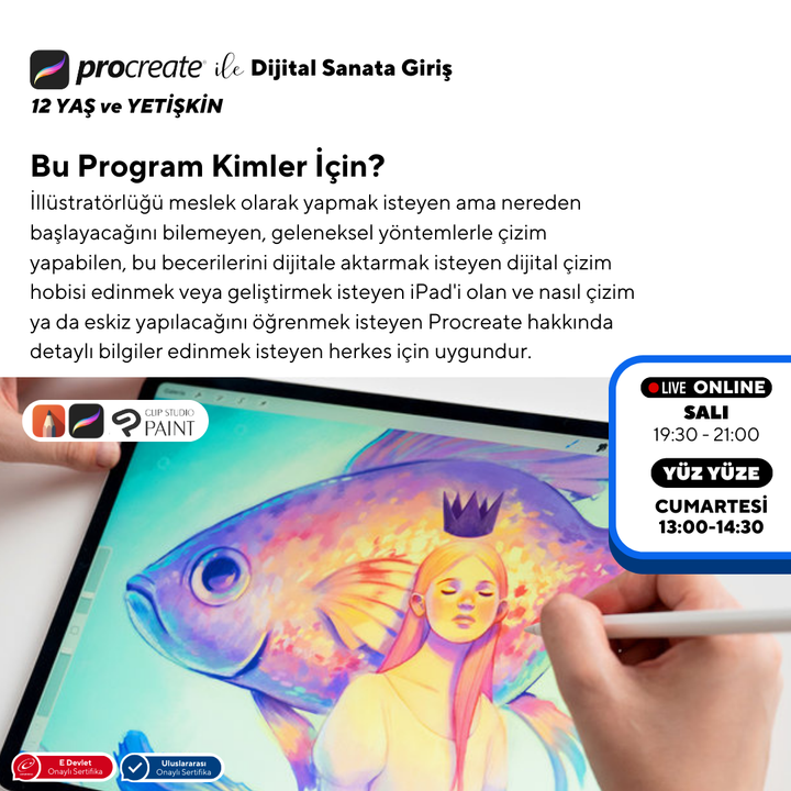Introducción al Arte Digital con Procreate (+12 Años y Adultos)