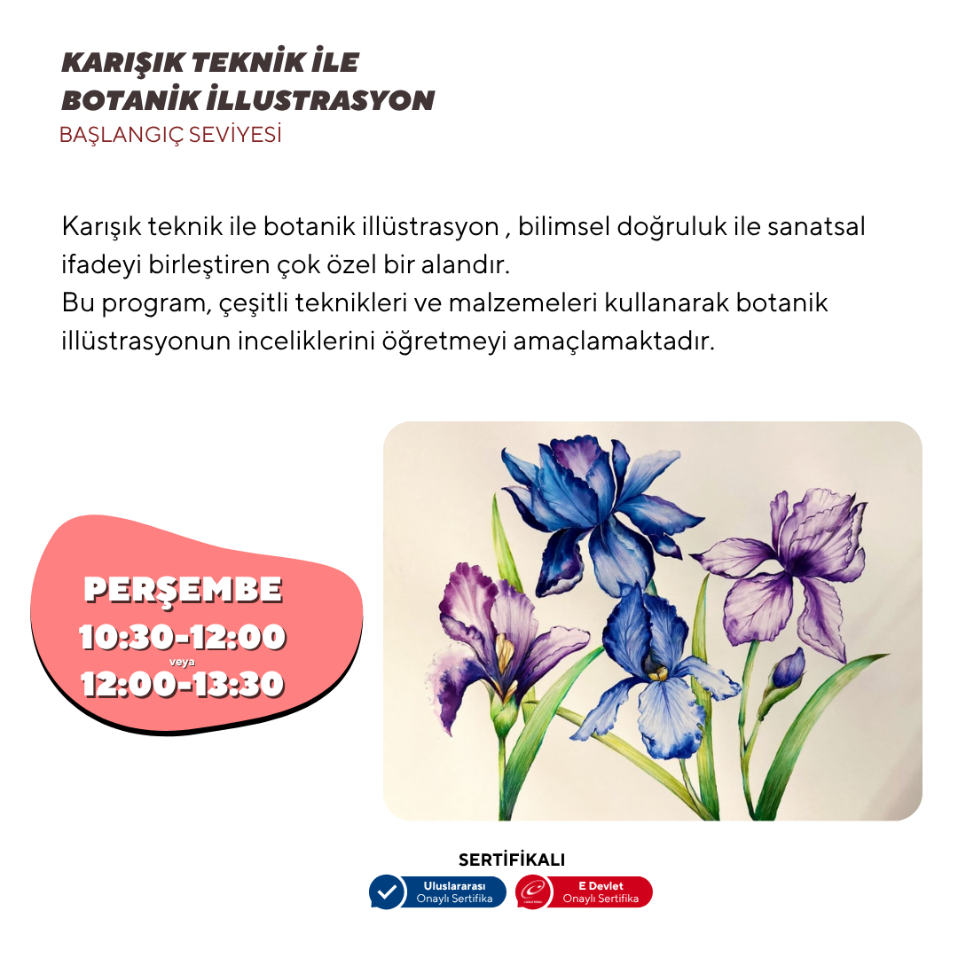 Botanical Illustration - Face to Face