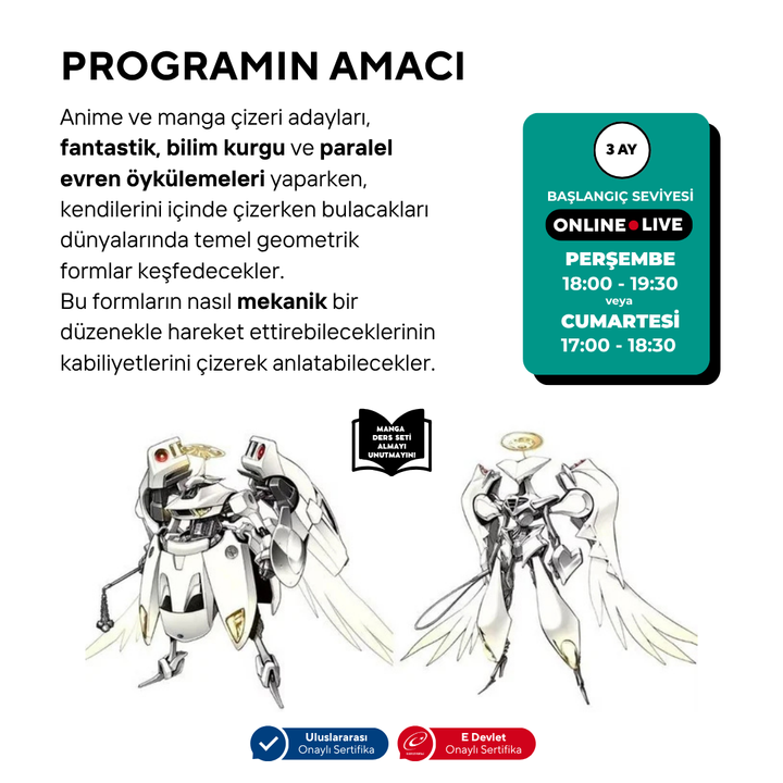 Preparación para el dibujo de manga mecha (10-16 años)