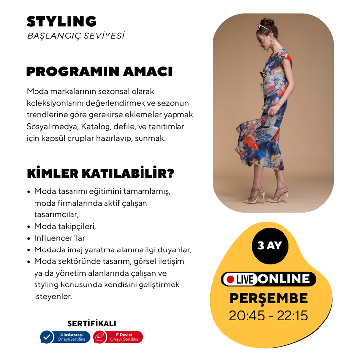 Styling - Anfängerniveau