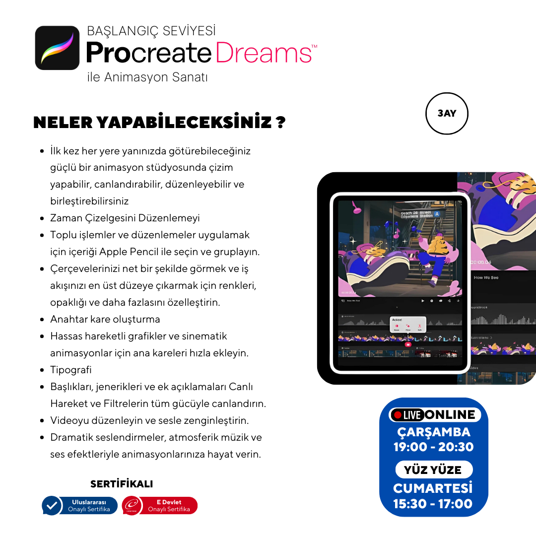 Procreate Dreams  - Başlangıç Seviyesi - Online
